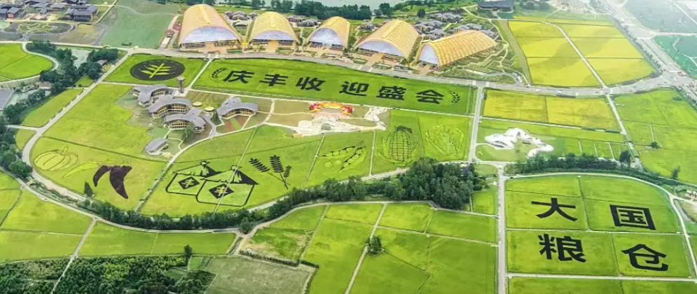 第五个中国农民丰收节|纽迈携农产品品质成分低场核磁快速分析仪 亮相天府农博园