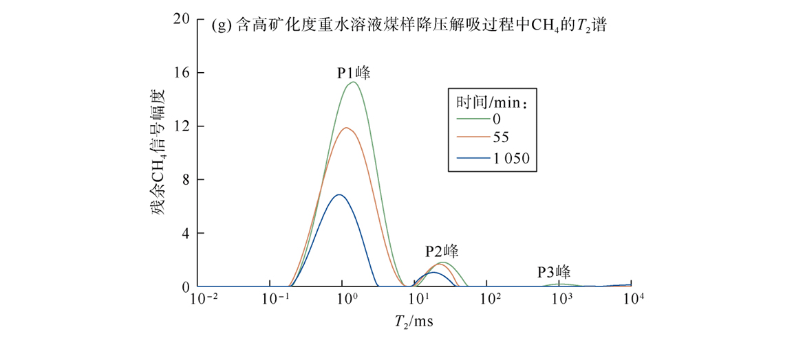 前沿应用|基于低场核磁技术的压裂液矿化度对深部煤层气解吸机理的研究