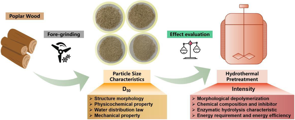 前沿应用|从微观水分看糖化潜力：纽迈 LF-NMR 揭秘生物质预处理的多尺度“黑匣子”
